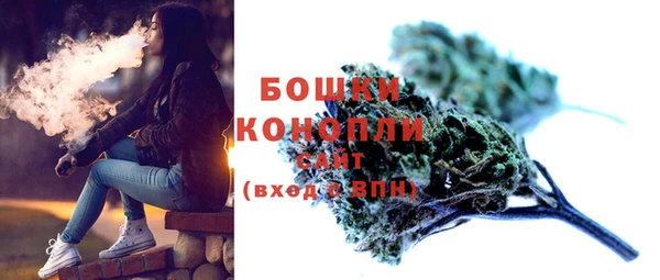PSILOCYBIN Белоозёрский