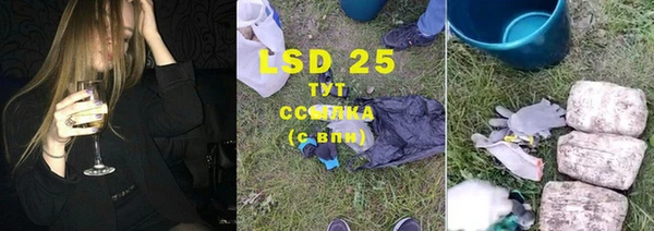 спайс Баксан