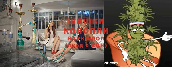 PSILOCYBIN Белоозёрский