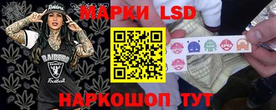 стафф Моздок