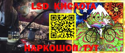 стафф Можга