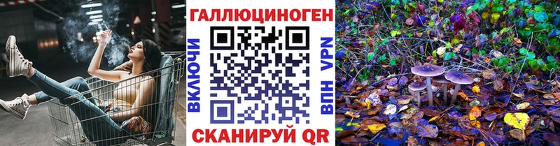 ссылка на мегу ссылки  Вятские Поляны  Галлюциногенные грибы Psilocybine cubensis 