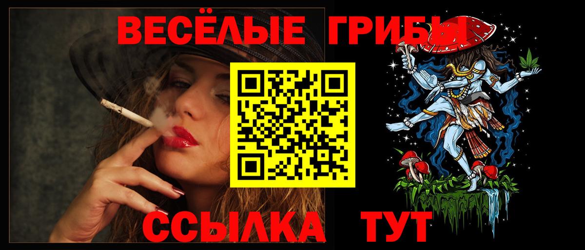 Галлюциногенные грибы Psilocybe  Вход с VPN  Вятские Поляны  Псилоцибиновые грибы Psilocybine cubensis 