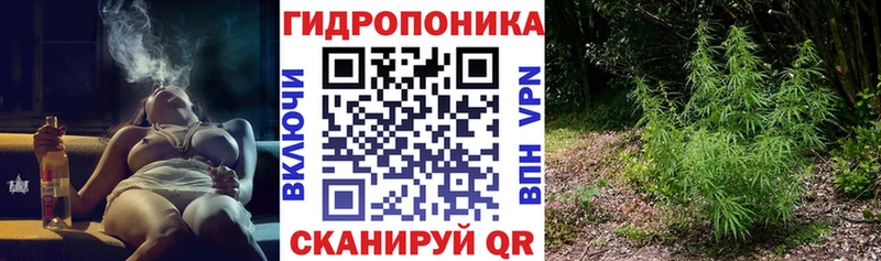 Канабис планчик  где купить наркотик  Вятские Поляны 