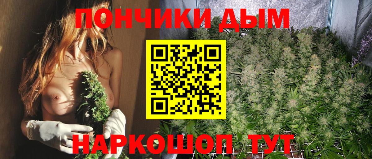 Вятские Поляны  Бошки марихуана White Widow  Вход с VPN  Каннабис LSD WEED  Канабис сатива  Конопля ГИДРОПОН 